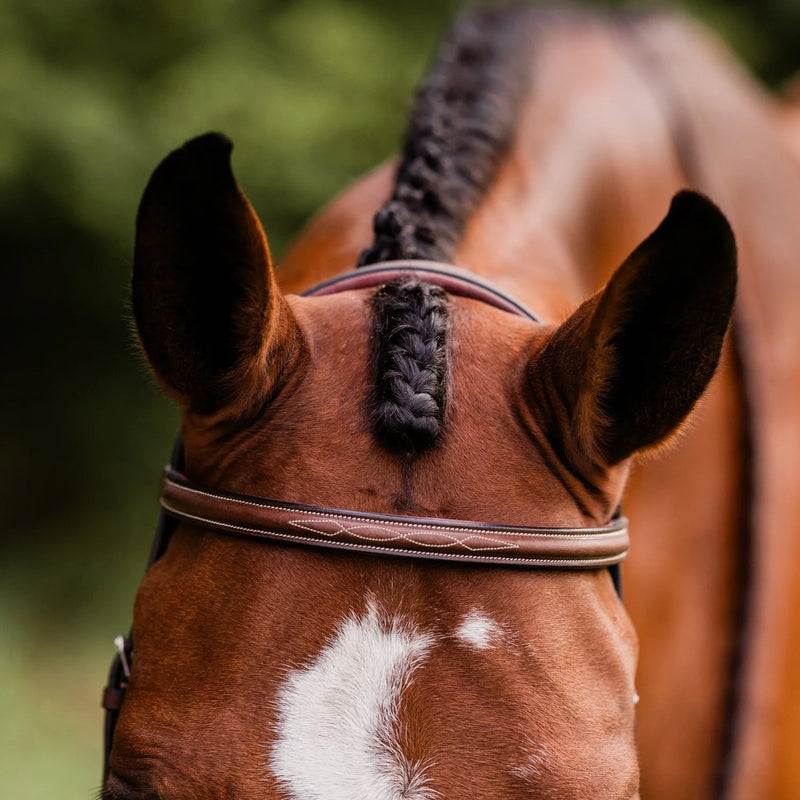 Arc de Triomphe®  Stealth Tribute Bridle w/ Raised Fancy Stitched Laced Reins
