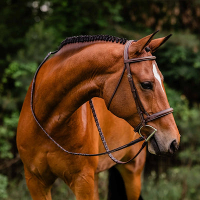 Arc de Triomphe®  Stealth Tribute Bridle w/ Raised Fancy Stitched Laced Reins