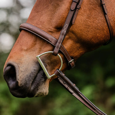 Arc de Triomphe®  Stealth Tribute Bridle w/ Raised Fancy Stitched Laced Reins