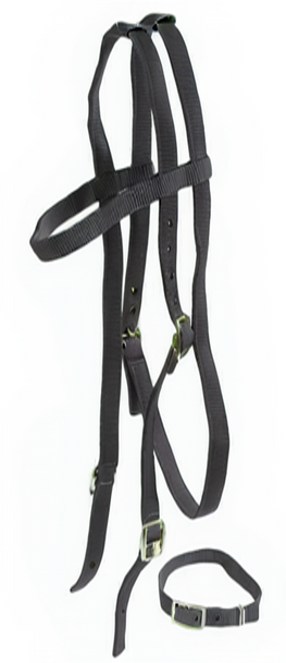 Jacks Nylon Thoroughbred Race Bridle