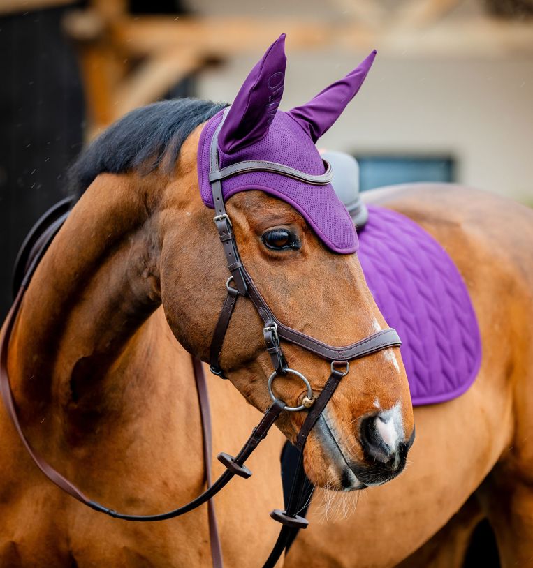 Horseware Amigo Ear Bonnet