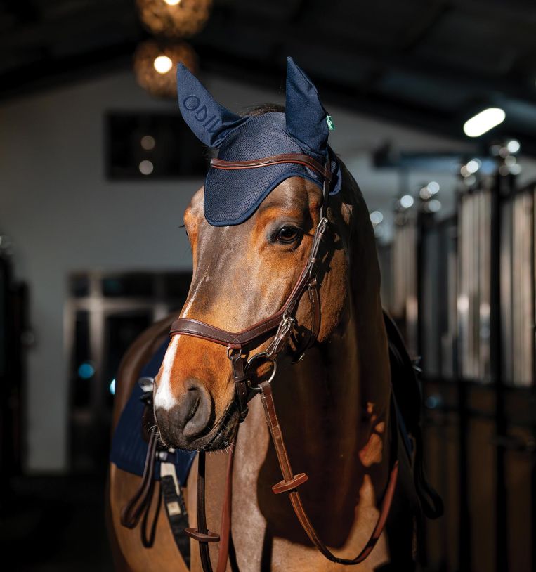 Horseware Amigo Ear Bonnet