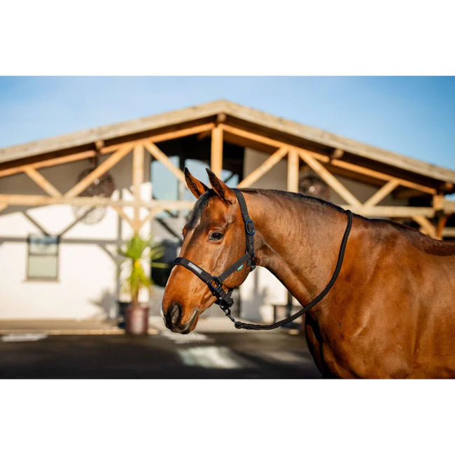 Horseware Amigo Halter and Leadrope Set