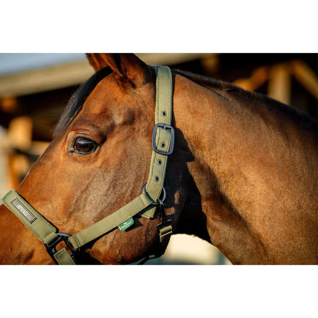 Horseware Amigo Halter and Leadrope Set