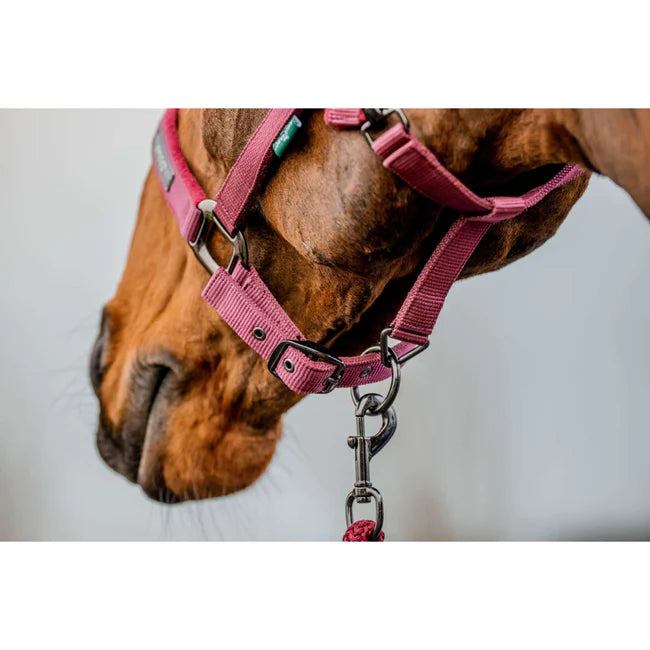 Horseware Amigo Halter and Leadrope Set