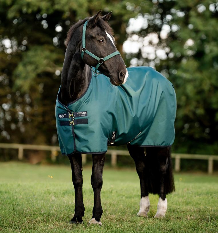 Horseware Amigo Ripstop 50g 900D