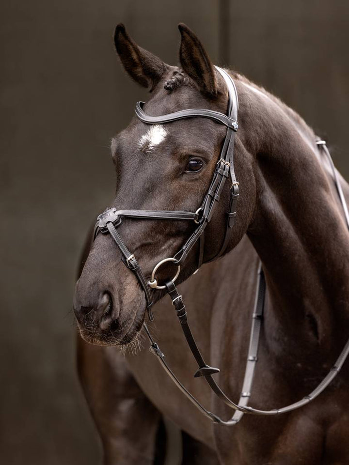 落*生様 ワイルドスワンズ FULL GRAIN BRIDLE / ALARD 落*生様 ワイルドスワンズ FULL GRAIN BRIDLE / ALARD