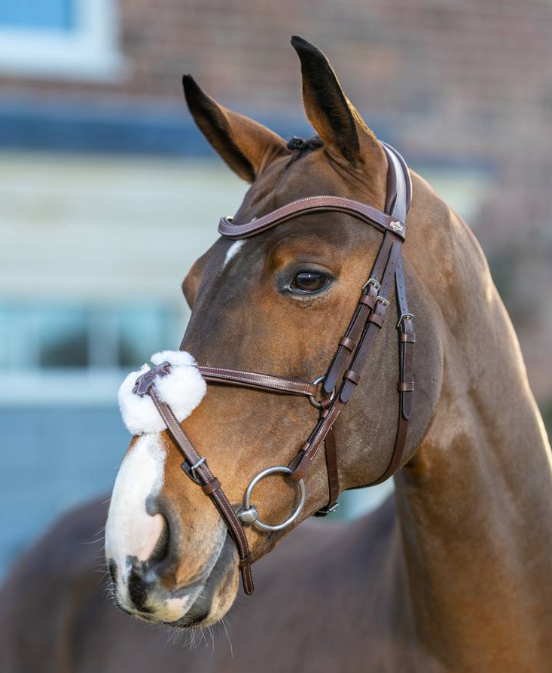 arikagracklebridle_720x.png?v=