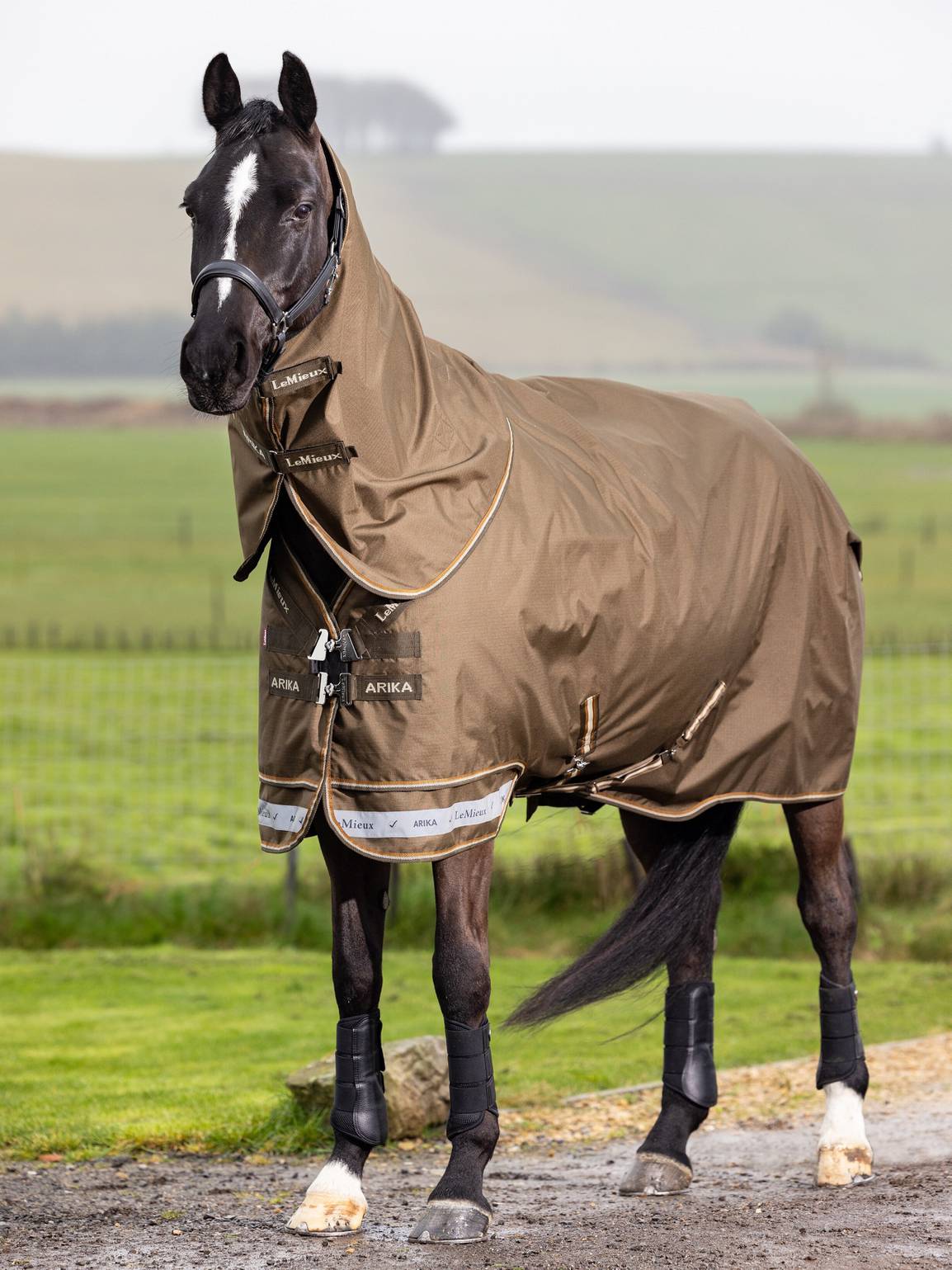 Lemieux Arika Ripstop 50g Turnout Rug Alpine – Fair Hill Saddlery