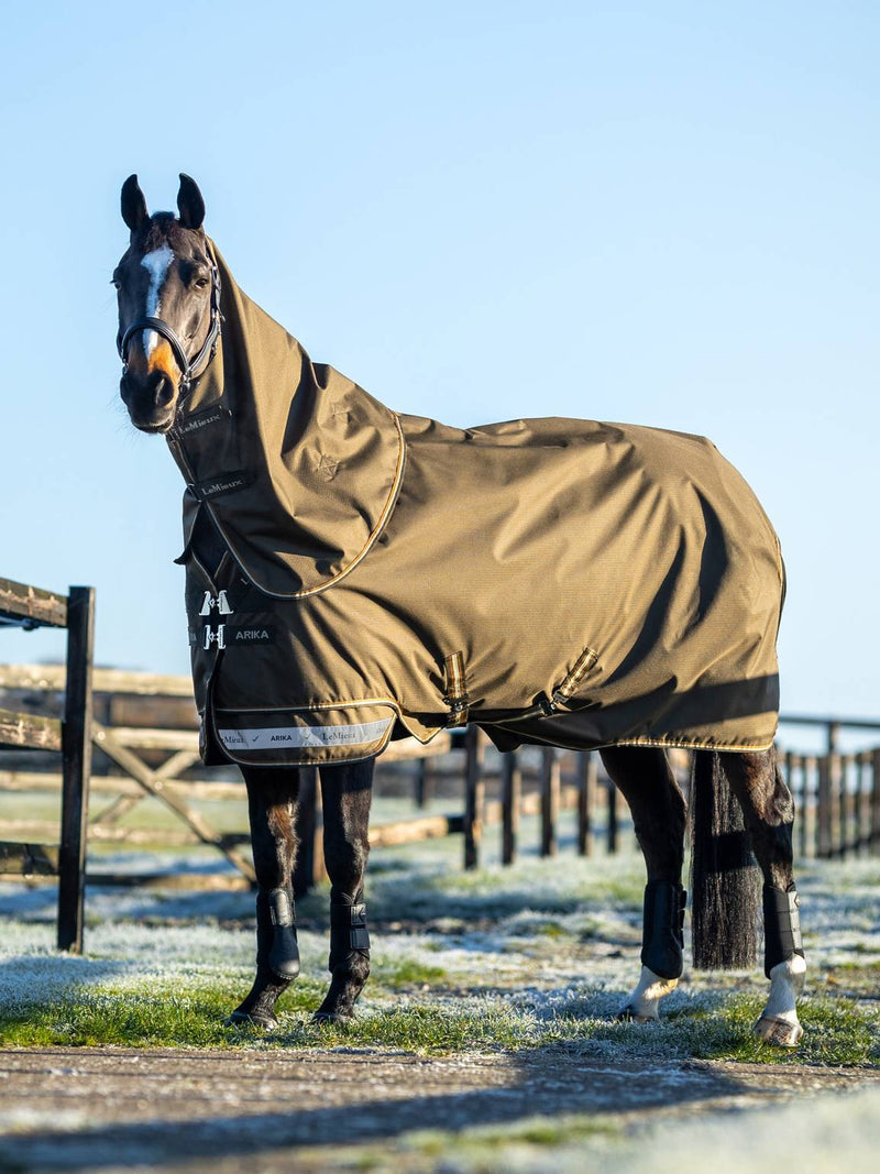 Lemieux Arika Ripstop 100g Turnout Rug Alpine 2024