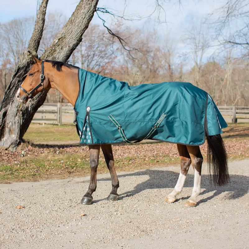 Equinavia Arktis Extended Neck Turnout