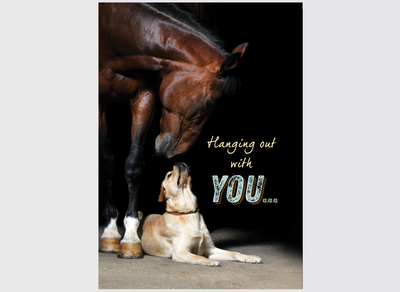 Horse Hollow Press - Horse Dog Thinking of You Card: Hanging Out With You!