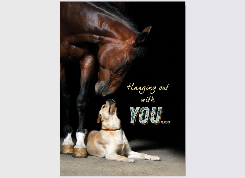 Horse Hollow Press - Horse Dog Thinking of You Card: Hanging Out With You!