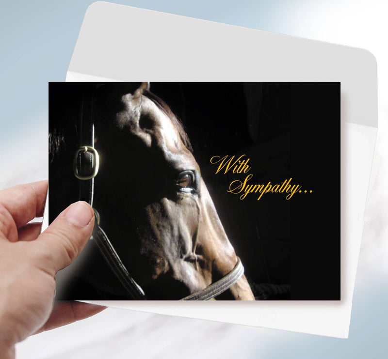 Horse Hollow Press - Horse Sympathy Card: With Sympathy.