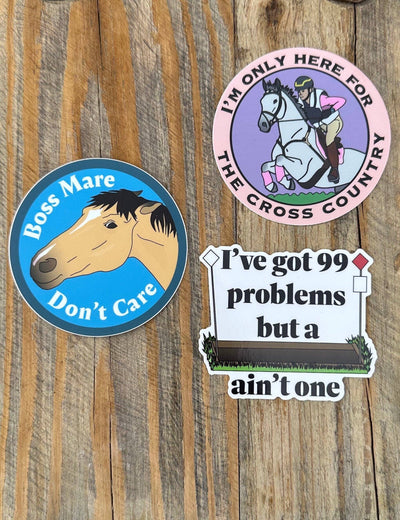 High Point Equestrian Equipment - Eventer Cross Country Ditch 99 Problems Sticker