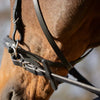 Equinavia Saga Bitless Bridle