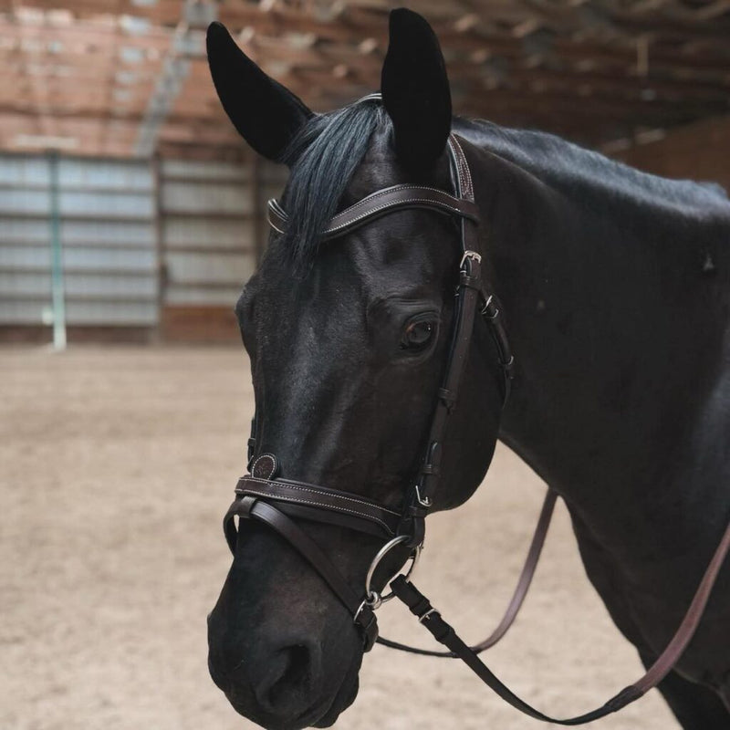 Black Oak Dogwood Eventing Bridle