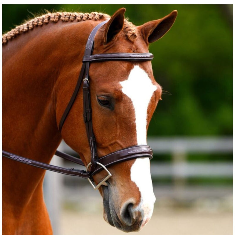 Black Oak Tupelo Hunter Bridle