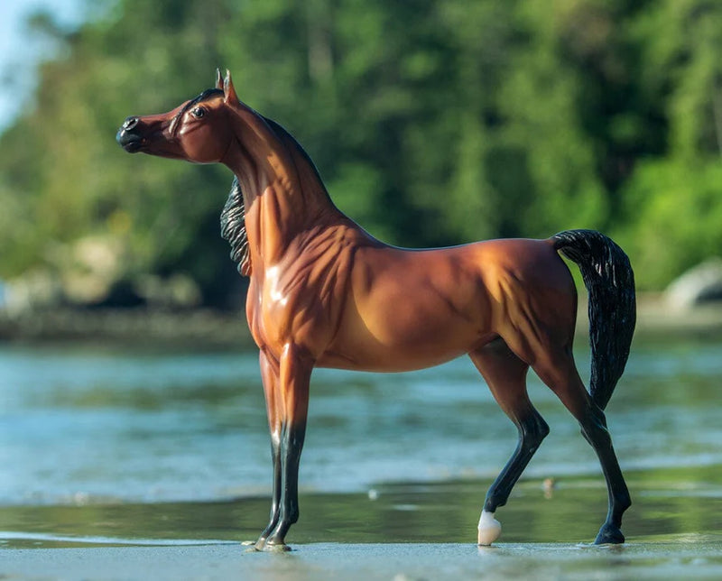 Breyer RD Marciea Bey Champion Arabian Mare