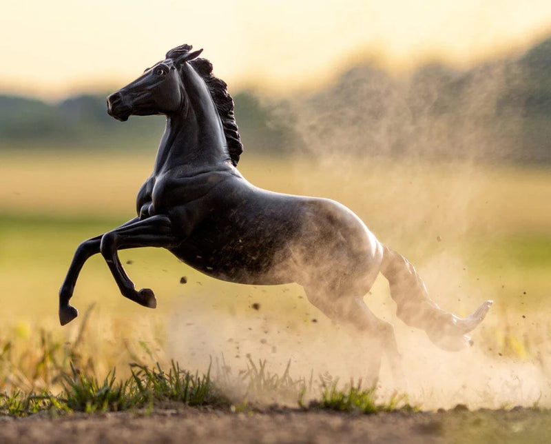 Breyer ATP Power/Amberley Snyder&
