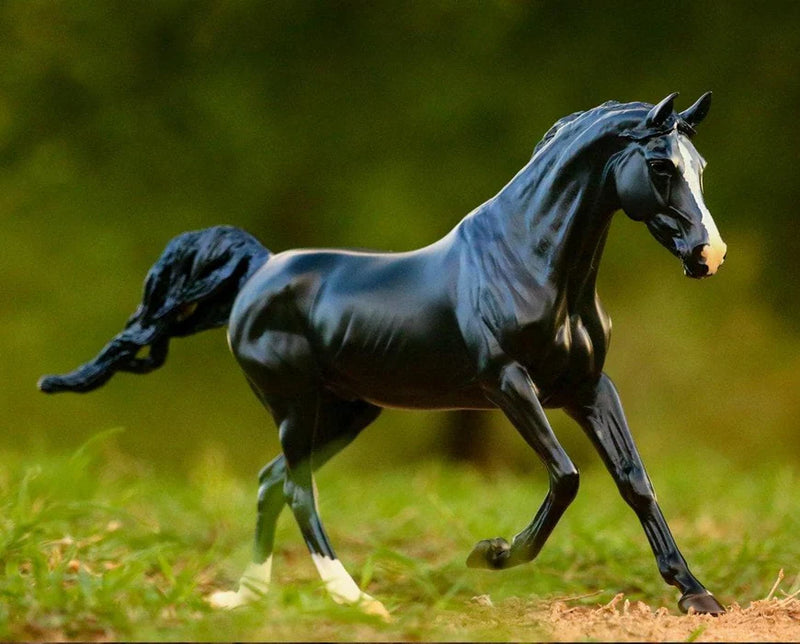 Breyer KB Omega Fahim