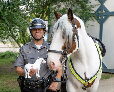 Breyer Hytyme Legend/KHP Mounted Police Horse