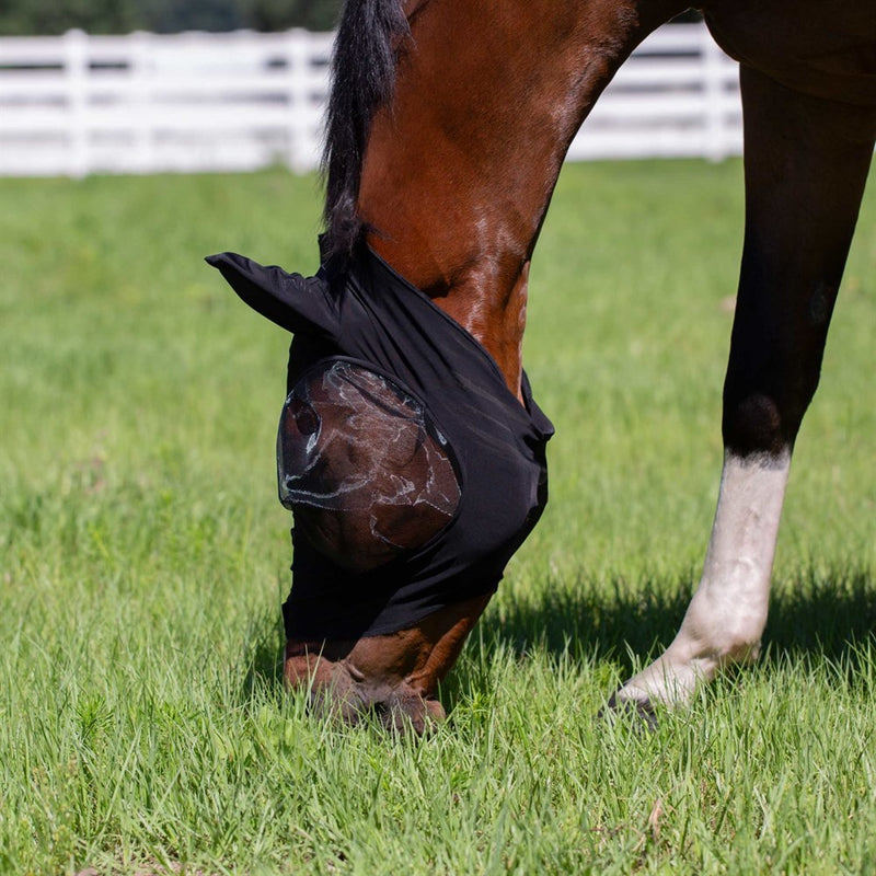 Equinavia Bug Out Fly Mask SS25