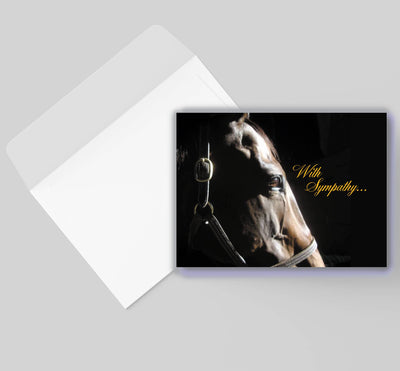 Horse Hollow Press - Horse Sympathy Card: With Sympathy.