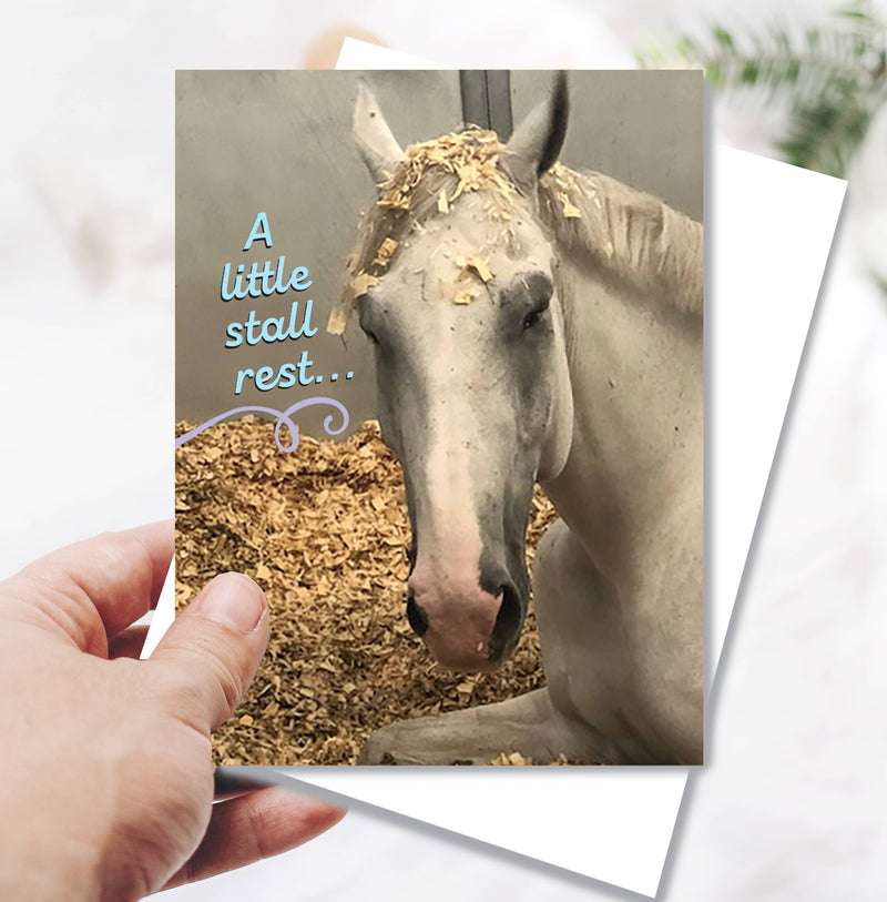 Horse Hollow Press - Horse Funny Get Well Card: a Little Stall Rest... Horse Card