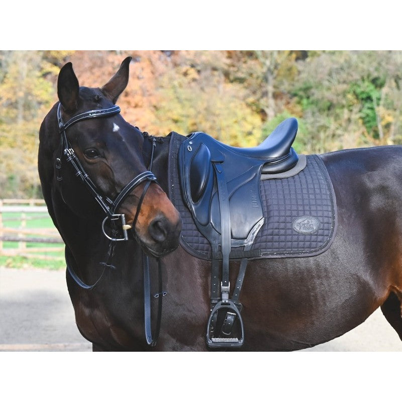 JumpIn WEEK Crystal Bridle with Flash Noseband