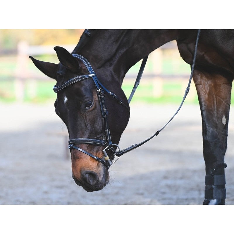 JumpIn WEEK Crystal Bridle with Flash Noseband