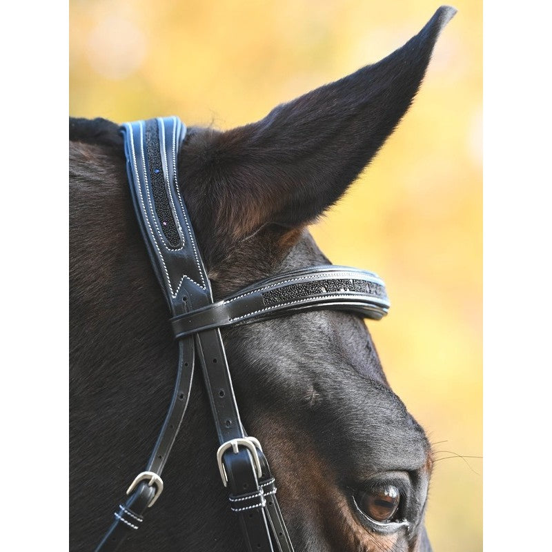 JumpIn WEEK Crystal Bridle with Flash Noseband