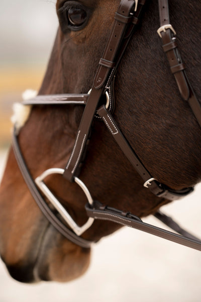 Black Oak Cedar Bridle