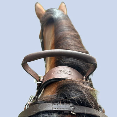 Correct Connect 3 Point Breastplate with Double Neck Strap