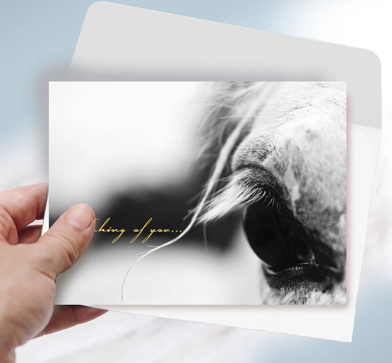 Horse Hollow Press - Horse Sympathy Card: Thinking of you...