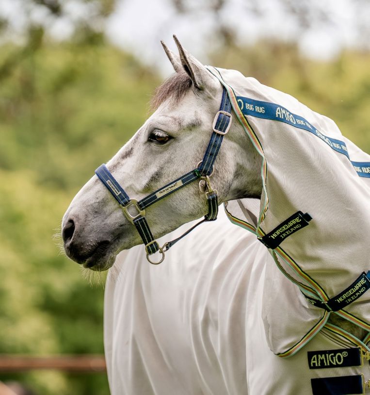 Horseware® Fieldsafe Halter