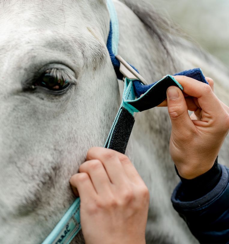 Horseware® Fieldsafe Halter