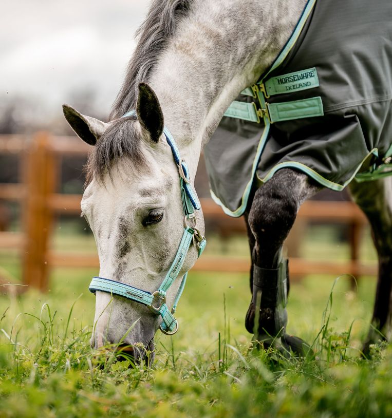 Horseware® Fieldsafe Halter