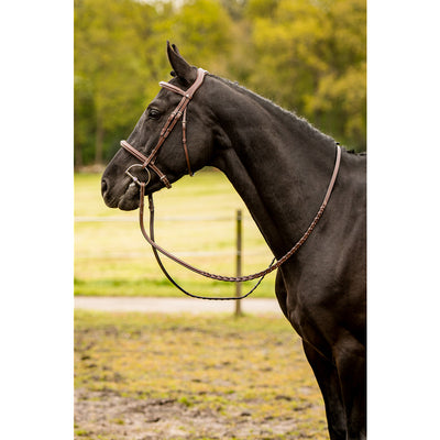 TRUST Kentucky Hunter Bridle
