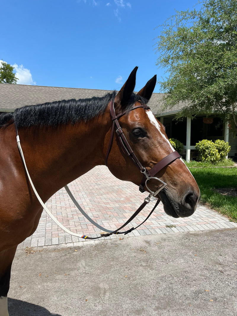 Dziasport Easy Change Ergonomic Schooling Bridle with Reins