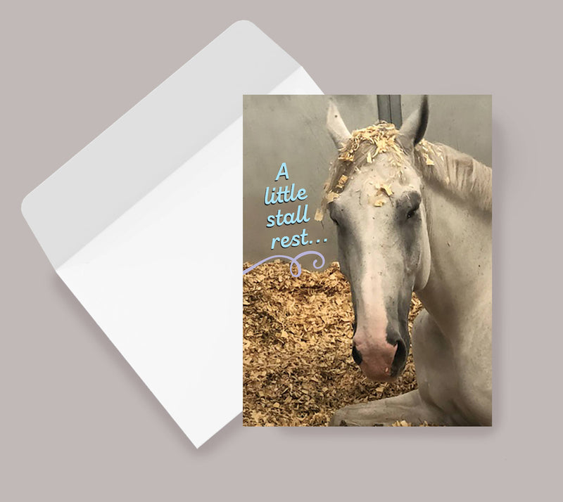 Horse Hollow Press - Horse Funny Get Well Card: a Little Stall Rest... Horse Card