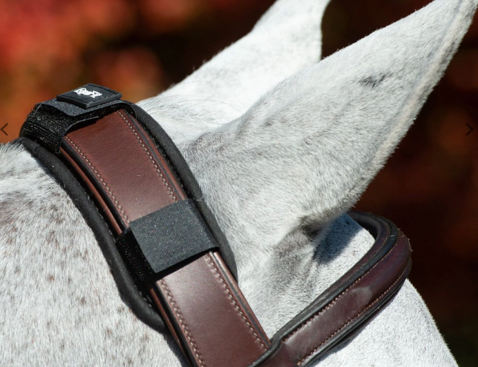 EquiFit ImpacTeq Crown Pad