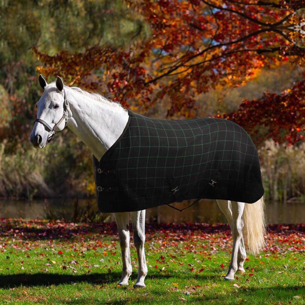 Horse Blankets & Sheets – Fair Hill Saddlery