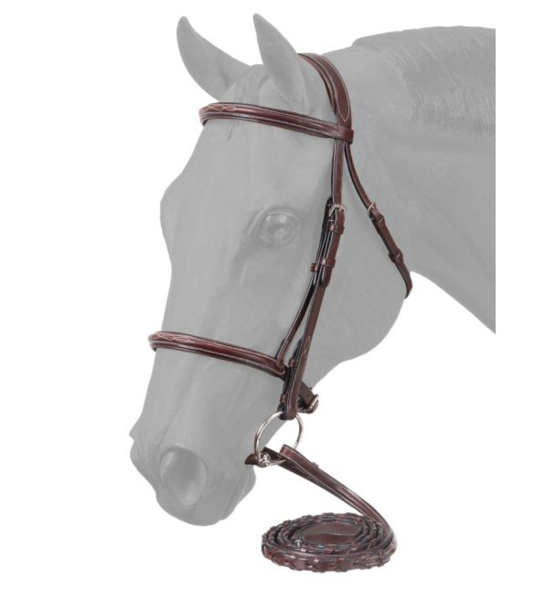 Equitare Premium Padded Raised Fancy Stitched Bridle Full