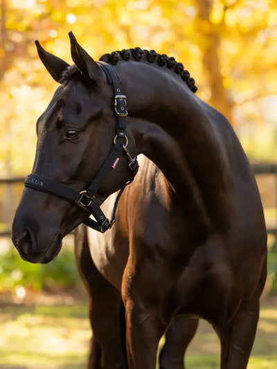 LeMieux Essence (Finesse) Halter