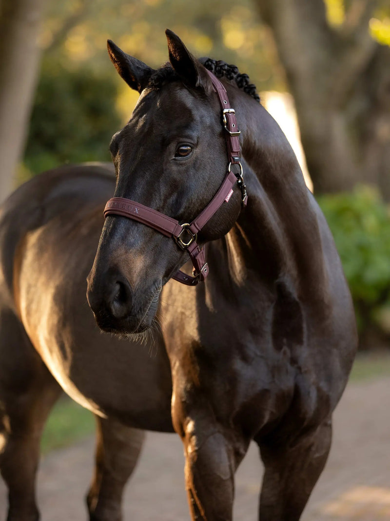 LeMieux Essence (Finesse) Halter
