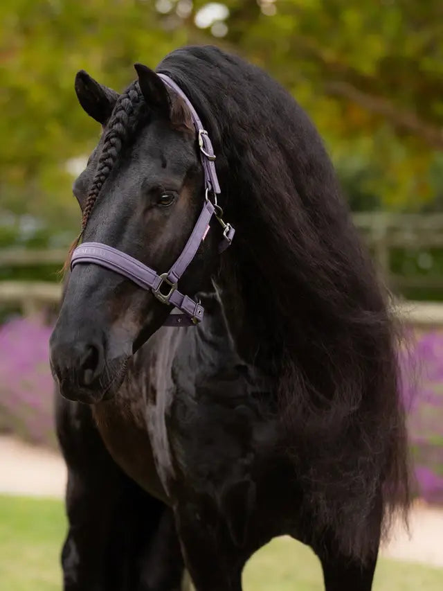LeMieux Essence (Finesse) Halter
