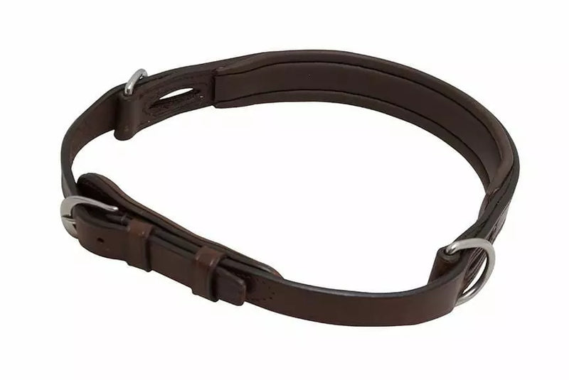 Thinline EZ Harmony Bitless Noseband Bridle Converter