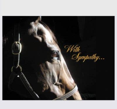 Horse Hollow Press - Horse Sympathy Card: With Sympathy.