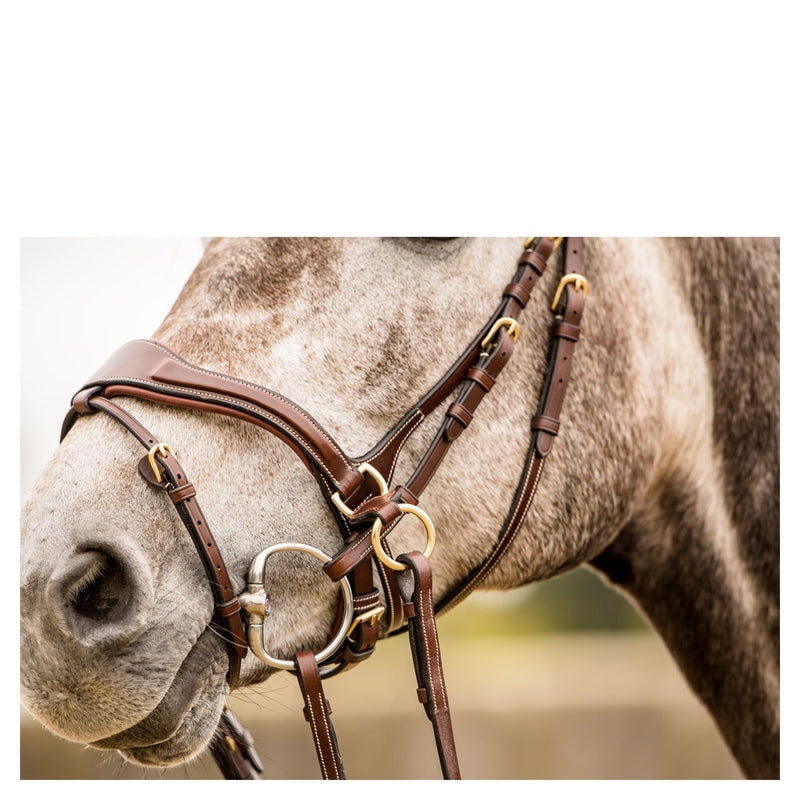 TRUST Falsterbo Bridle